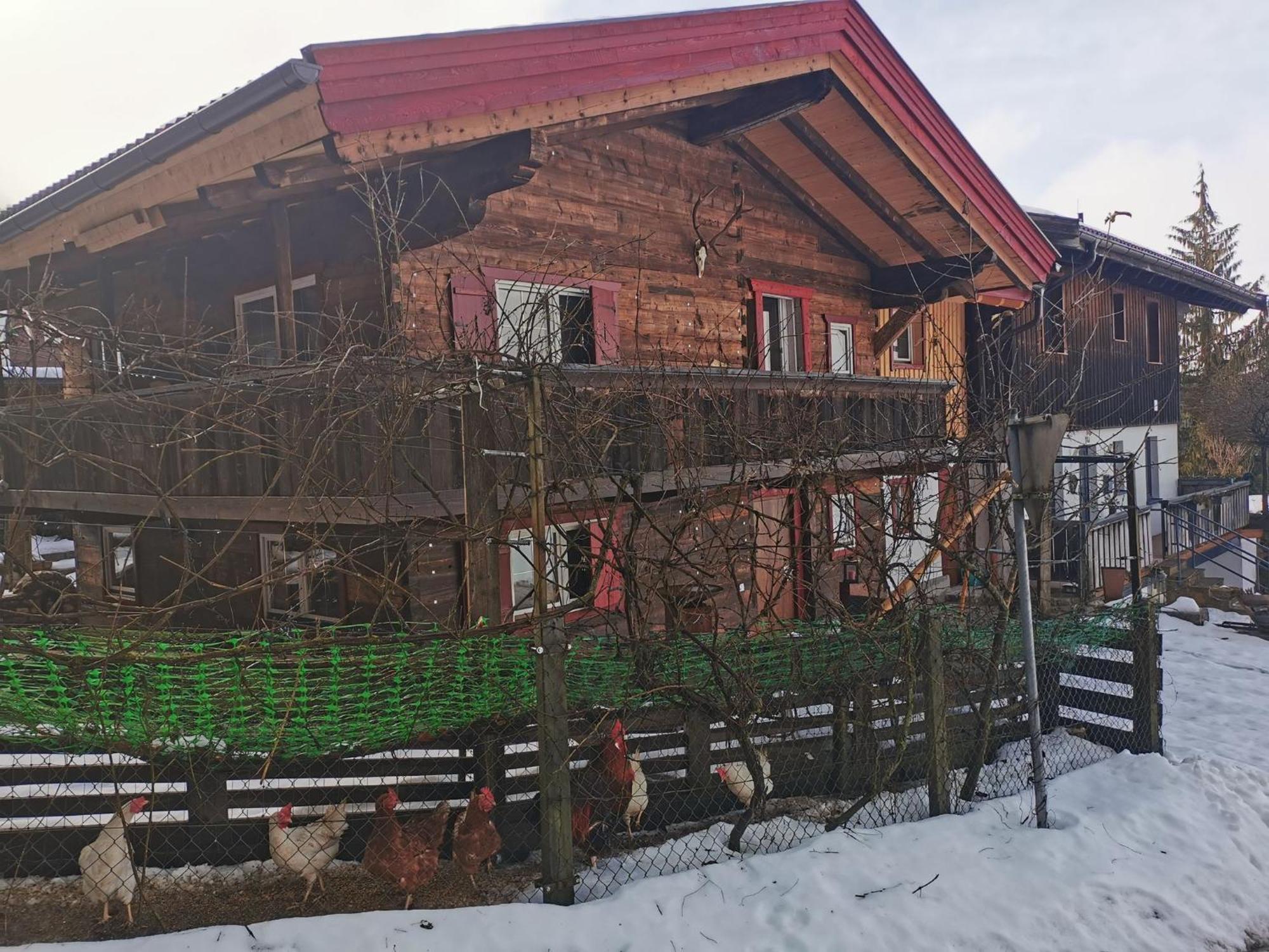 Kaiserhaus Harald Astner Ebbs Studio 1 Esterno foto